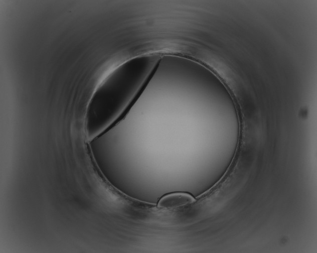 X0000095670850200801081037