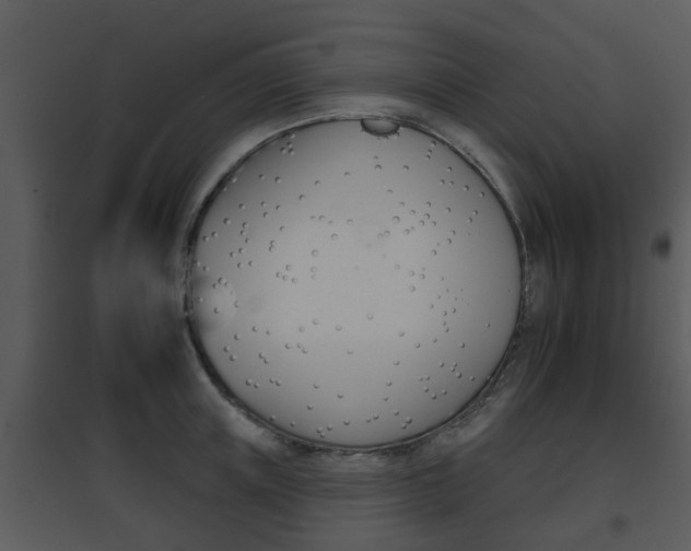X0000095670851200801081037