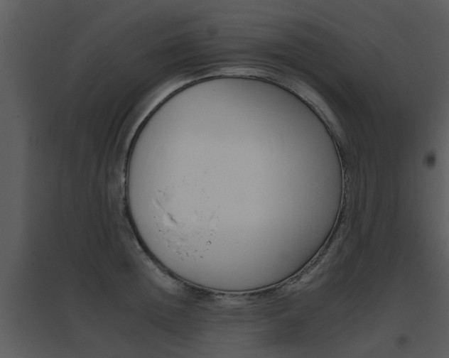 X0000095670852200801081037
