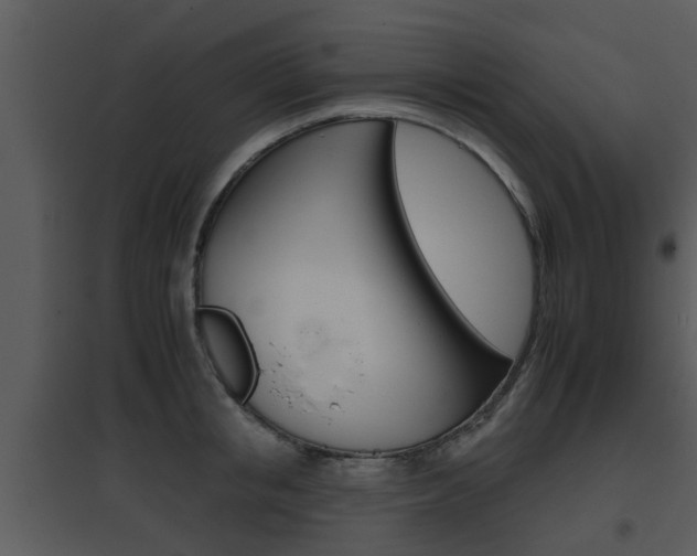 X0000095670853200801081037