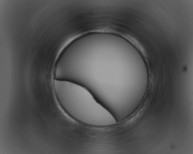 X0000095670855200801081037