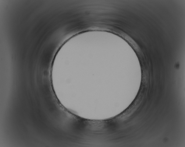 X0000095670856200801081037