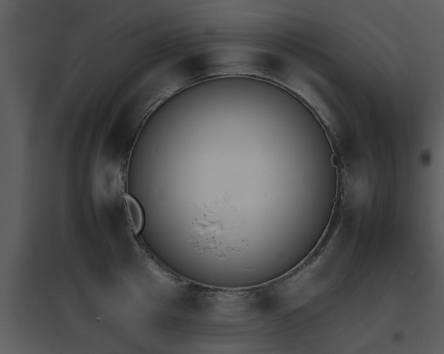 X0000095670857200801081037