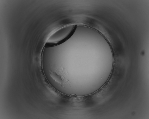 X0000095670858200801081037