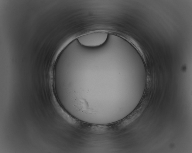 X0000095670859200801081037