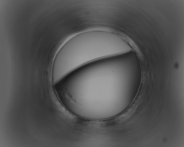 X0000095670860200801081037