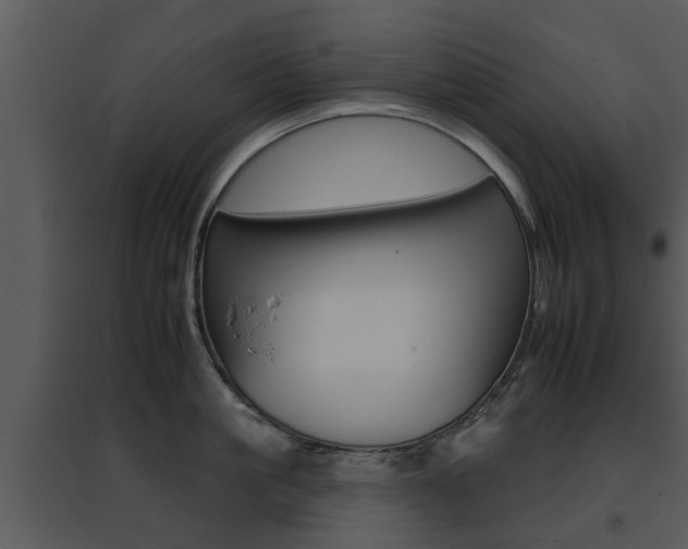 X0000095670861200801081037