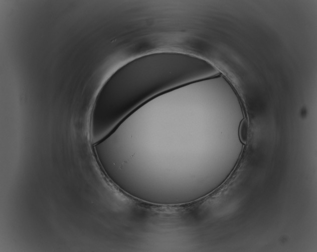 X0000095670862200801081037