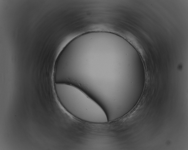 X0000095670863200801081037