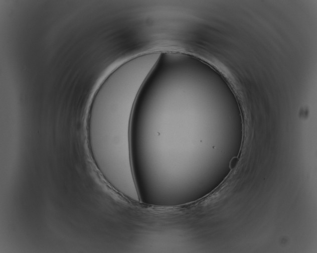 X0000095670864200801081038