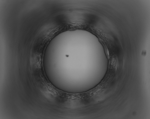 X0000095670868200801081037