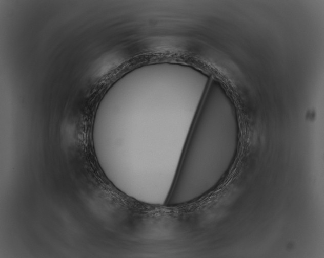 X0000095670869200801081037