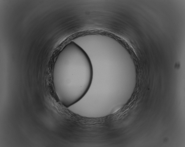 X0000095670871200801081037