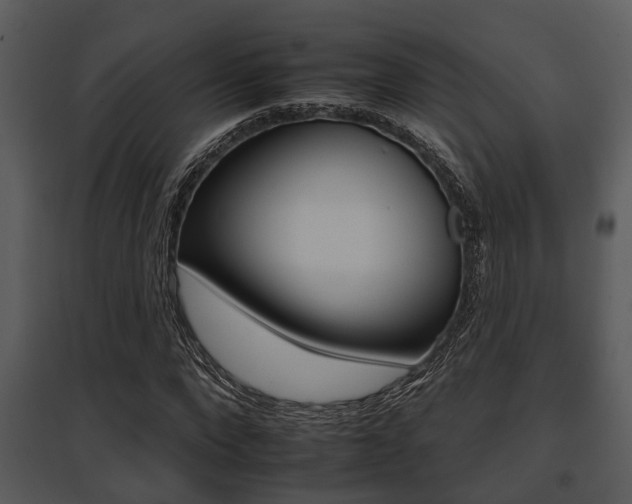 X0000095670872200801081037