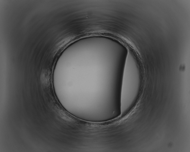X0000095670873200801081037