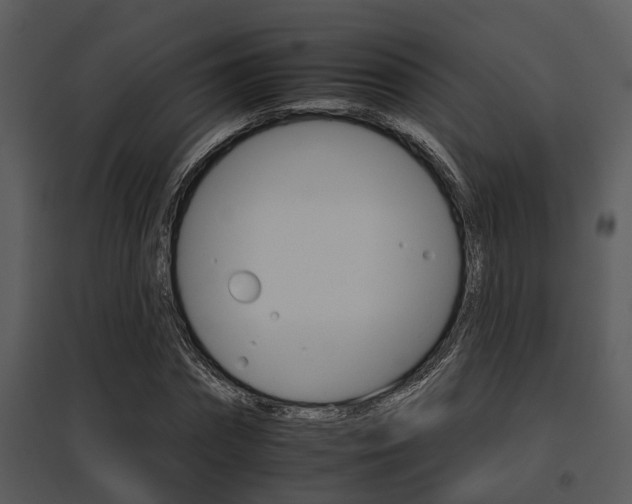 X0000095670874200801081037