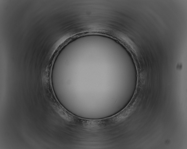 X0000095670875200801081037