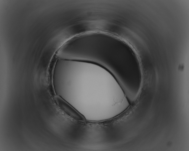 X0000095670876200801081037
