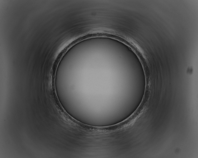 X0000095670877200801081037