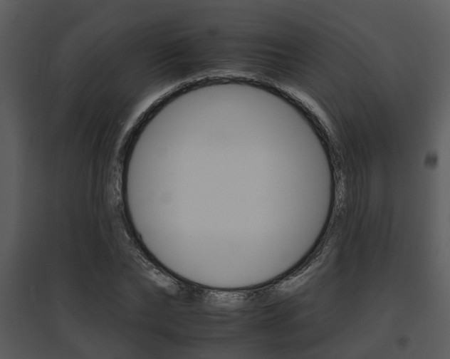 X0000095670878200801081036