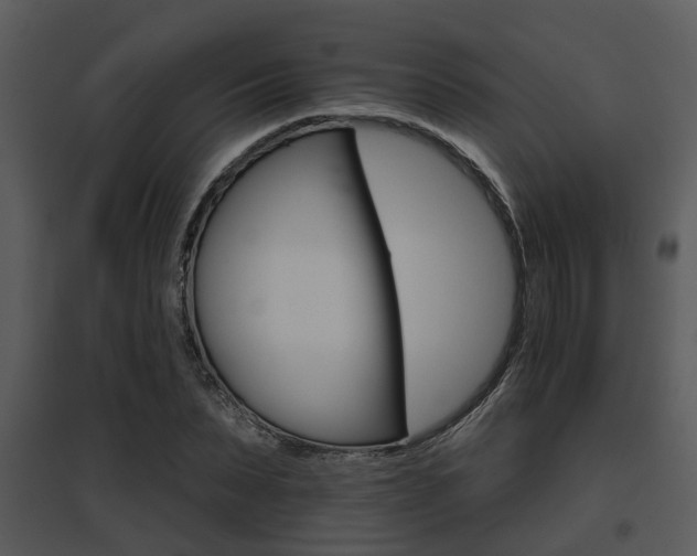 X0000095670879200801081036