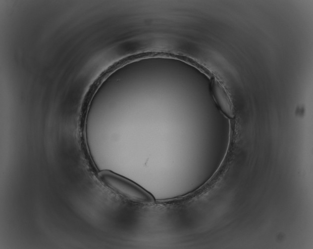 X0000095670880200801081036