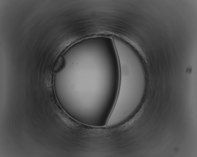 X0000095670881200801081036