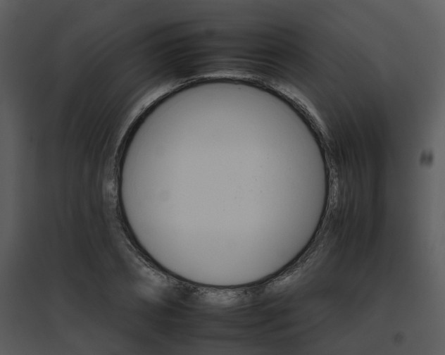 X0000095670882200801081036