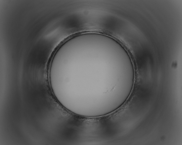 X0000095670883200801081036