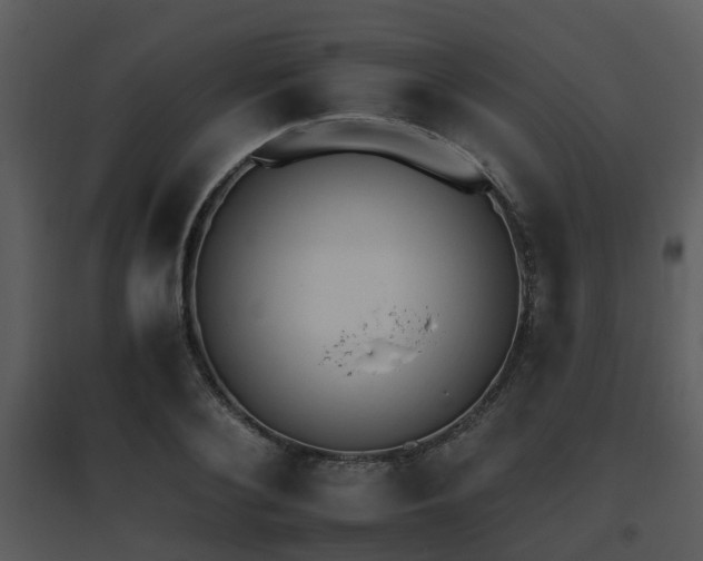 X0000095670884200801081036