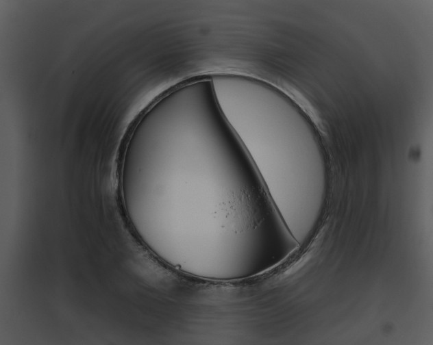 X0000095670885200801081036