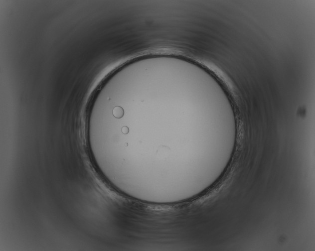 X0000095670886200801081036
