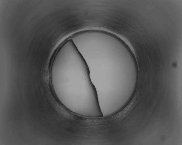 X0000095670887200801081036