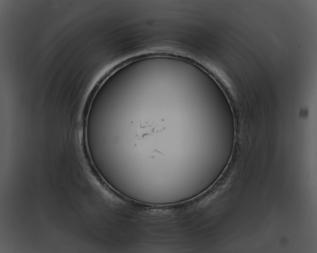 X0000095670888200801081036