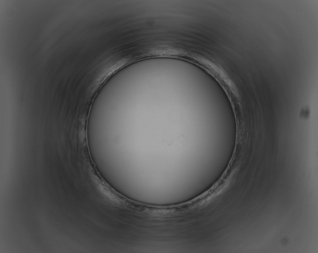 X0000095670889200801081036
