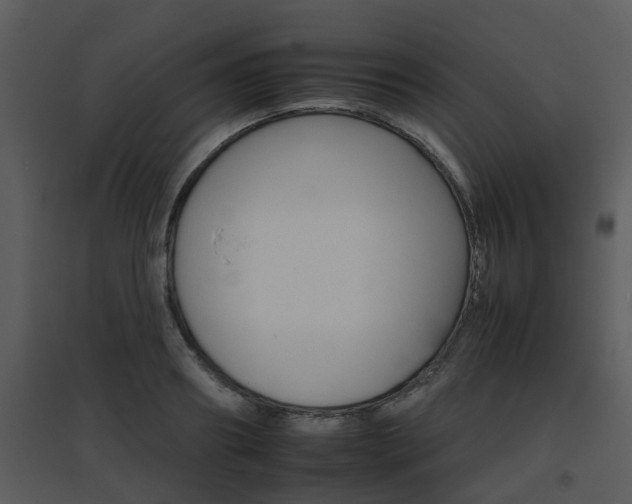 X0000095670890200801081036