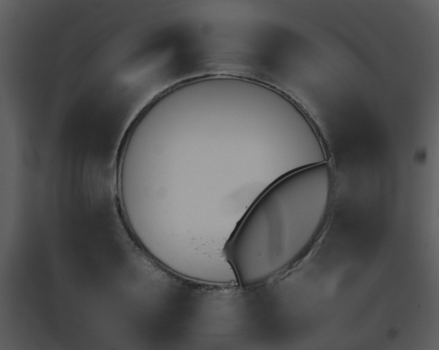 X0000095670891200801081036
