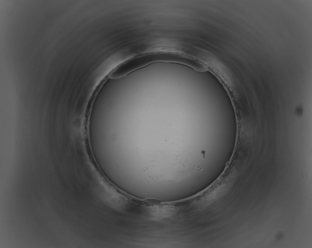 X0000095670893200801081036