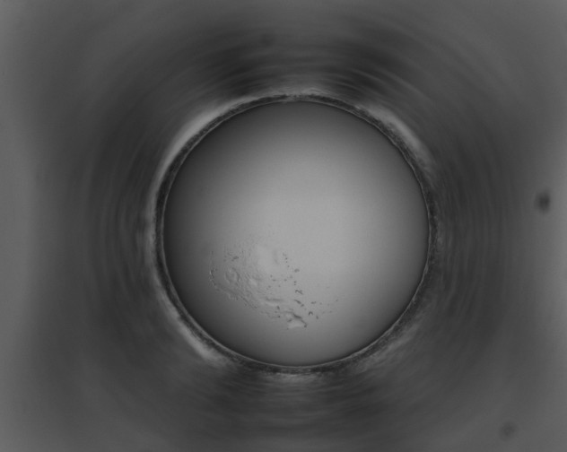 X0000095670894200801081036