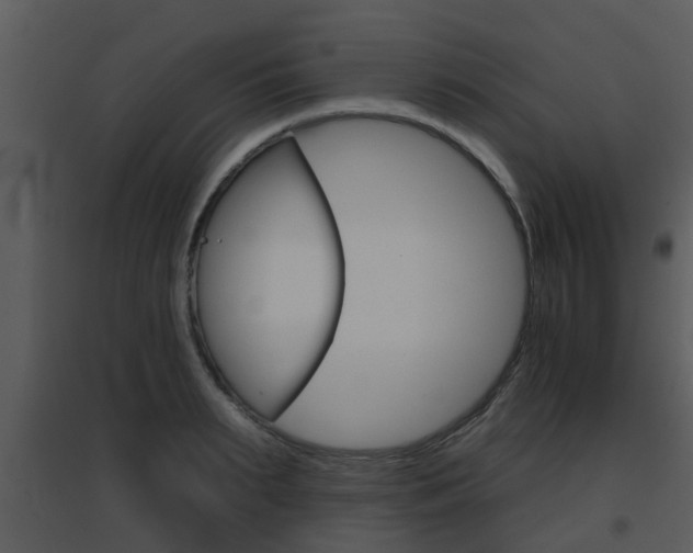 X0000095670895200801081036