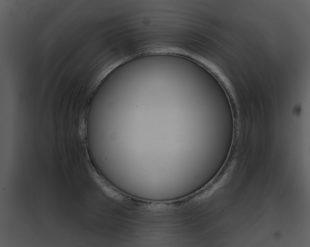 X0000095670897200801081036