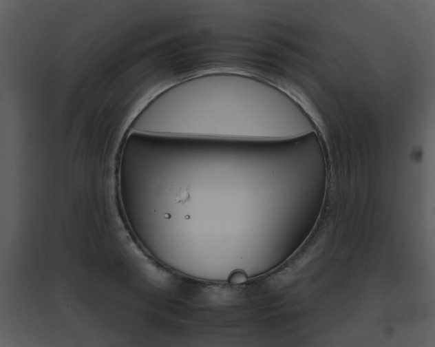 X0000095670898200801081036