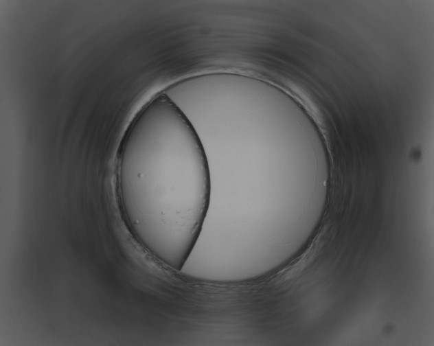 X0000095670899200801081036