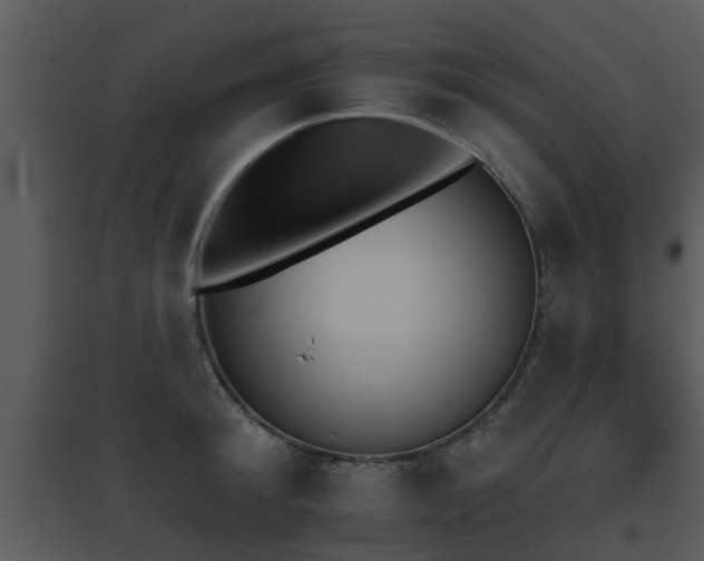 X0000095670900200801081036