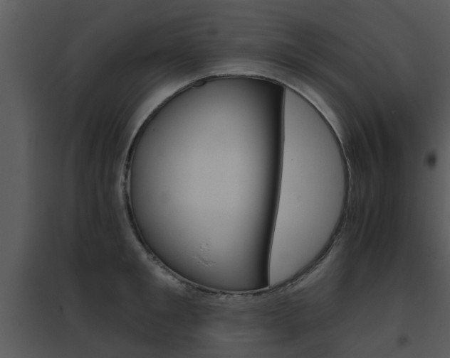 X0000095670901200801081036