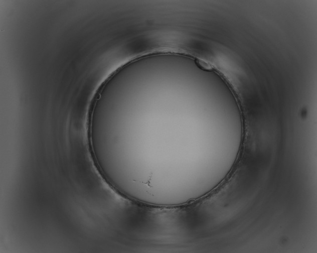 X0000095670902200801081036