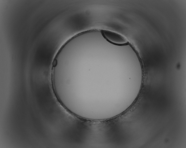 X0000095670903200801081036