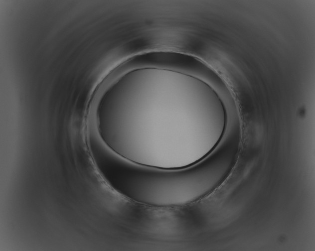 X0000095670904200801081036