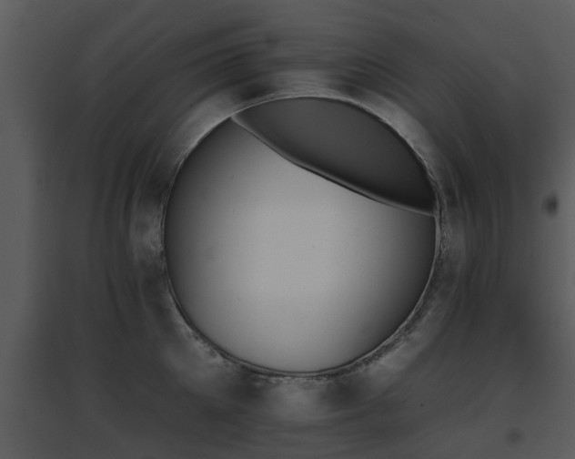 X0000095670905200801081036