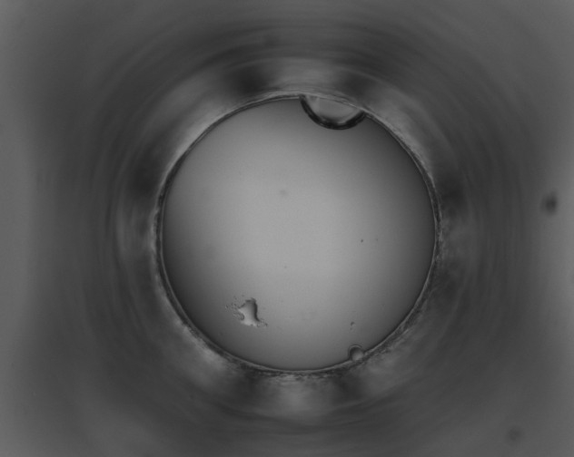 X0000095670906200801081036